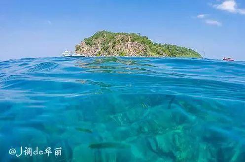 消逝的光芒：信徒